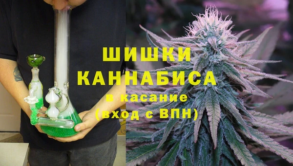 стафф Бронницы