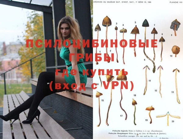 mdpv Зерноград