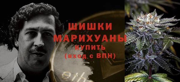 ешки Богданович