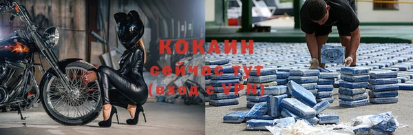 ешки Богданович