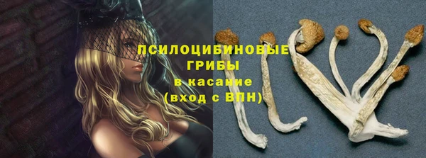 прущие крисы Бугульма