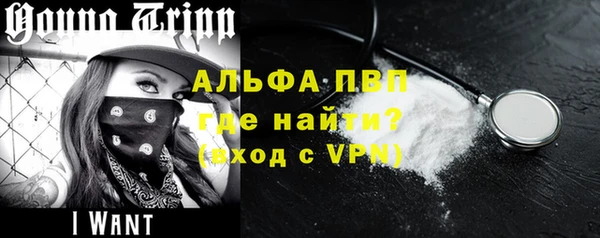 ешки Богданович