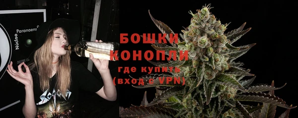 гидра Богородск