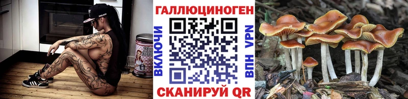 Галлюциногенные грибы MAGIC MUSHROOMS  Дятьково 